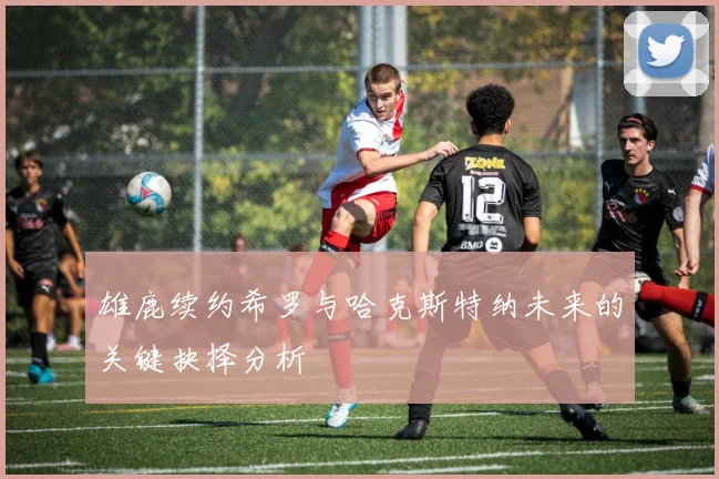 雄鹿续约希罗与哈克斯特纳未来的关键抉择分析
